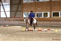 28-ApHC OT_239